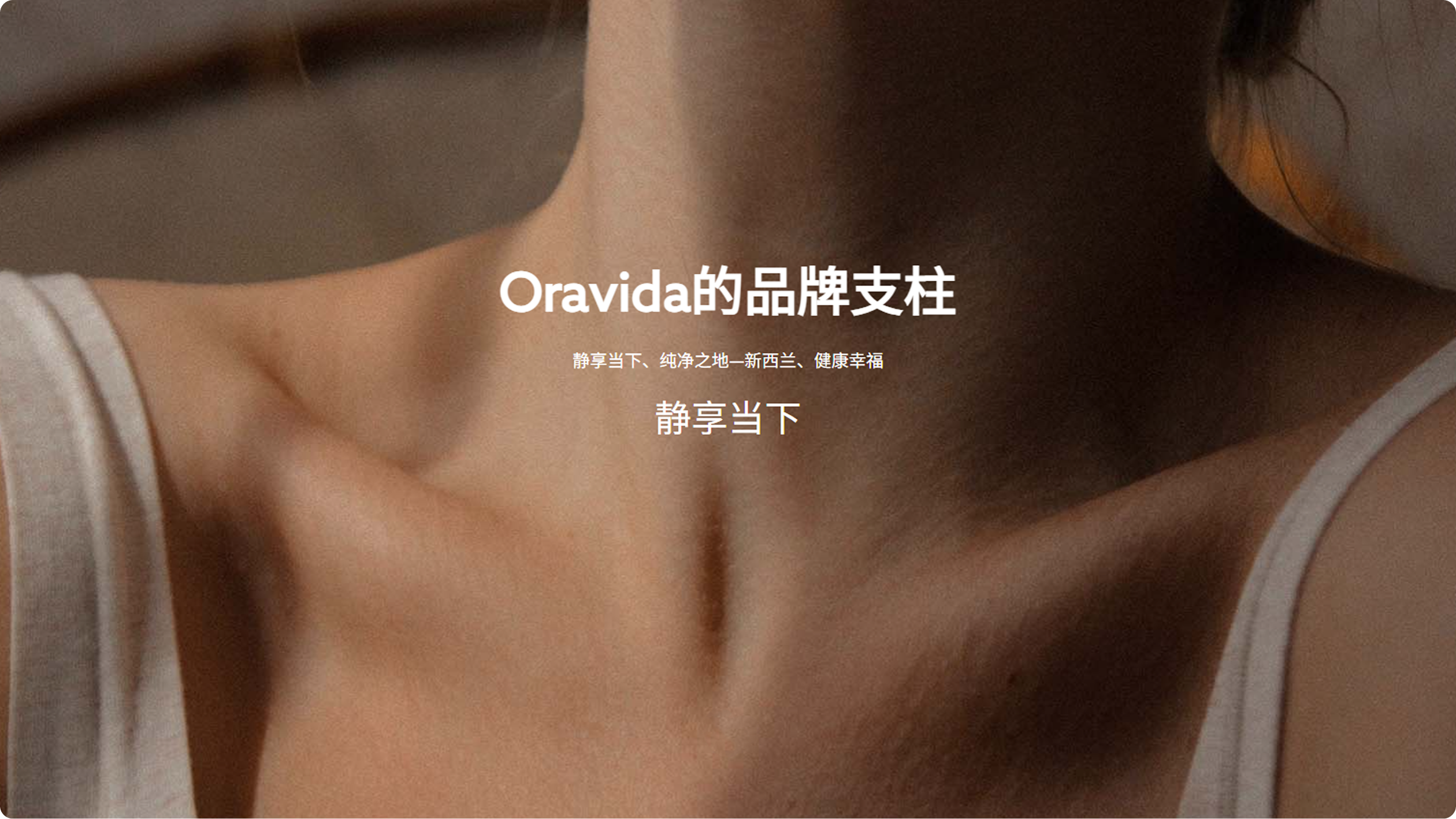 兰维乐食品网站(图6)